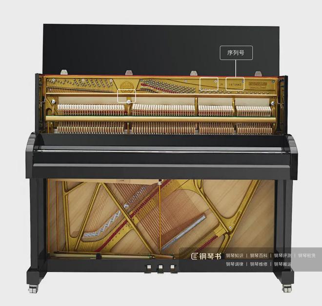 二手钢琴选购:需要专业人士协助评估试琴吗?(图5)