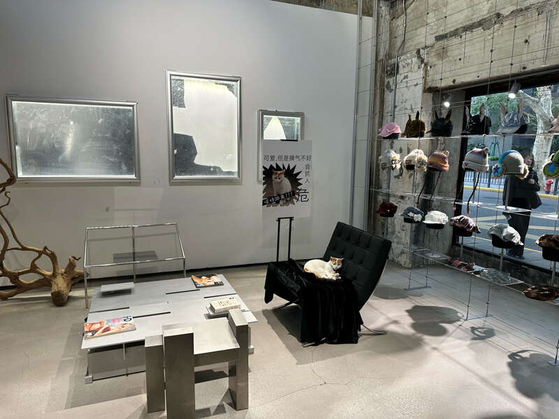 “试验田”里长出“长红”店铺上海长宁滋养青春经济新业态(图2)