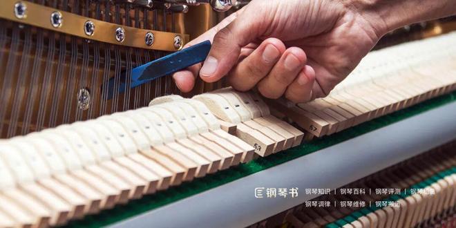 钢琴保养有哪些注意事项？(图2)