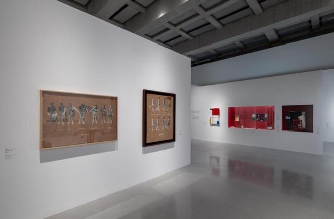 在徐汇滨江这一行为已超千次!他们因何而“挑战”?(图5)