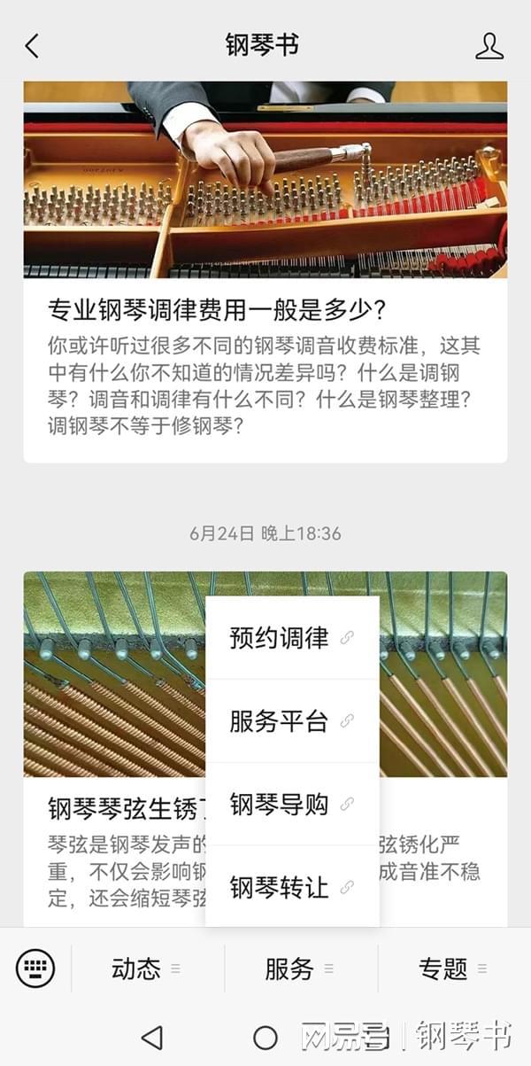 二手钢琴选购：需要专业人士协助评估试琴吗？(图6)