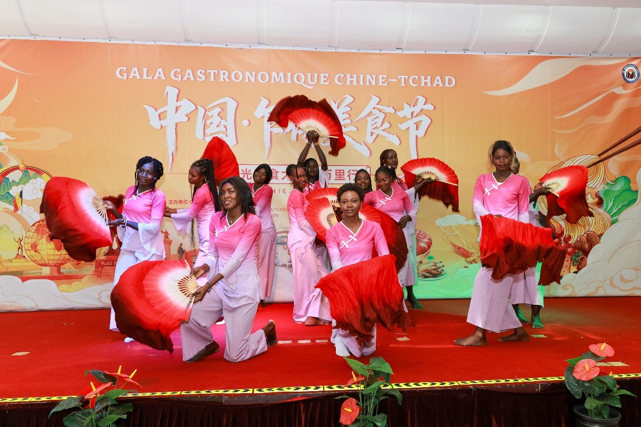 中国·乍得美食节活动在恩贾梅纳成功举办(图3)