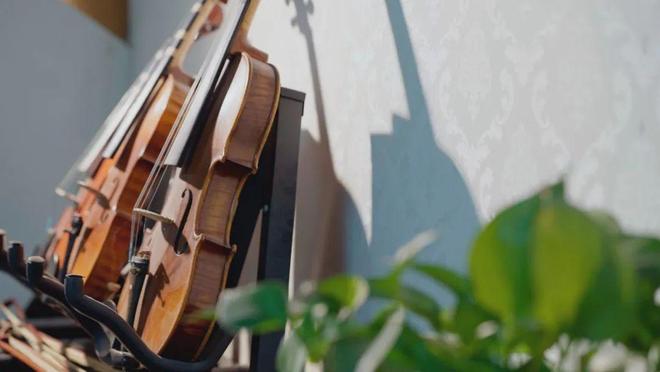 潘春鸣：弦歌同韵奏响两岸艺术交流新乐章(图5)