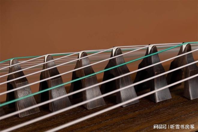 古筝推荐：入门也能拥有专业体验(图2)
