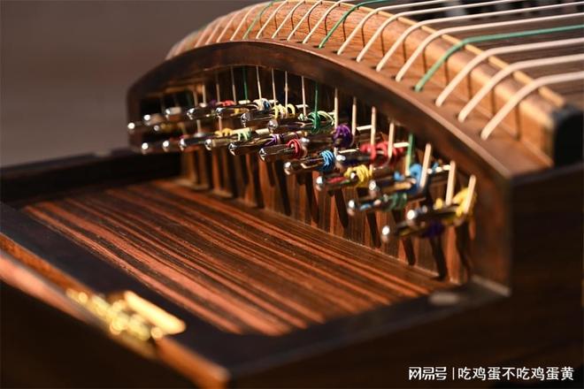 本地口碑推荐:瑶鸾古筝Y508系列2026评测亮点(图1)