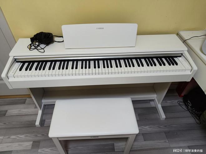 新手必看！2026电钢琴推荐5款好物让你买得安心！(图1)