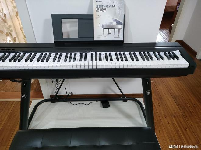 2026年最推荐购买的10款电钢琴是什么？(图1)