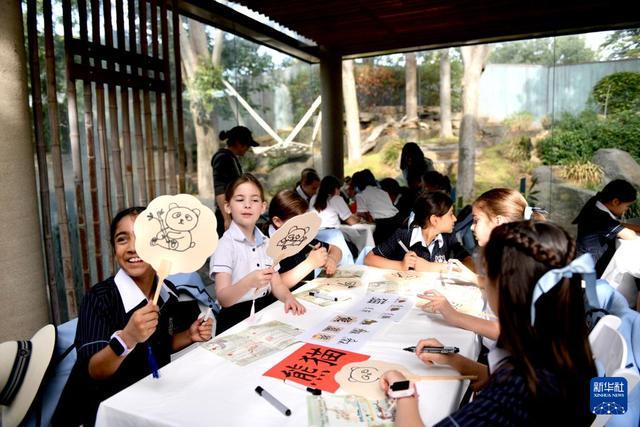 澳大利亚“国际中文日”活动大熊猫元素成亮点(图2)