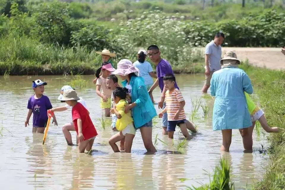 立志修身耕读人生——“少年中国范”马郢乡村成长营邀请函(图1)