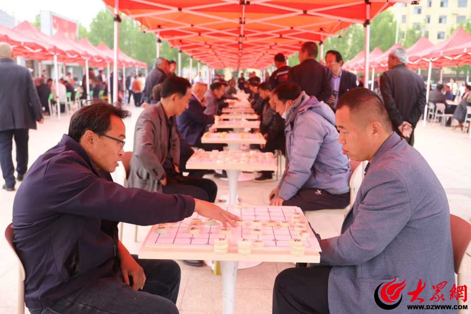 花间对弈诗意郭屯来郓城郭屯镇牡丹园下一盘棋_郓城_大众网(图2)