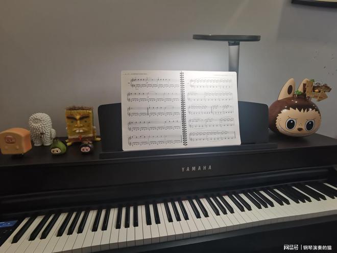 电钢琴和电子琴有什么区别？新手应该选哪个？(图1)